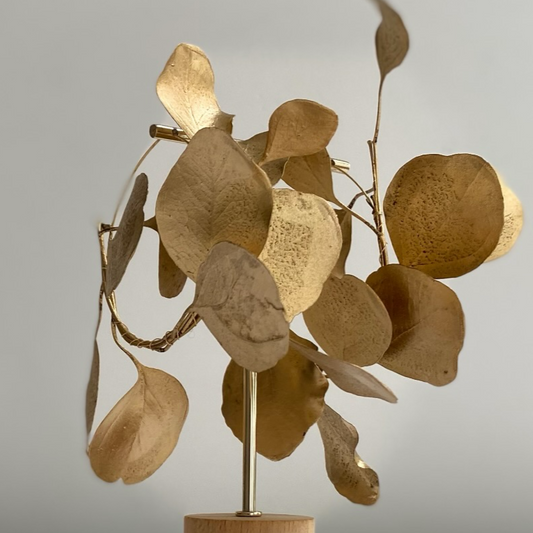 Boucles d'oreilles GLEAM