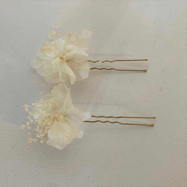 Pics à chignon Söt