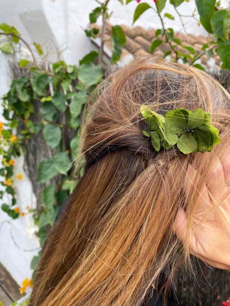 Pics à chignon Bella