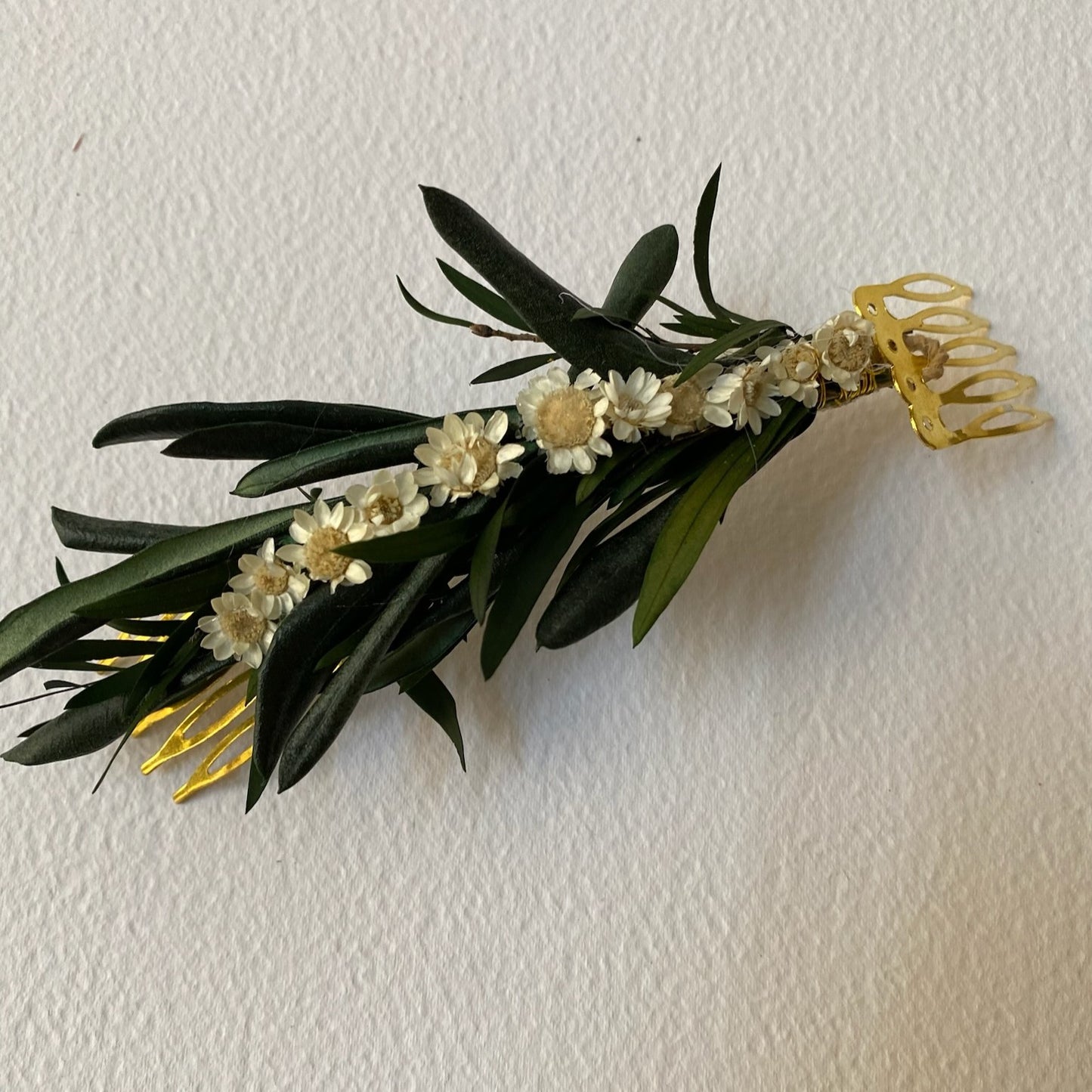 Crown flower Tiana