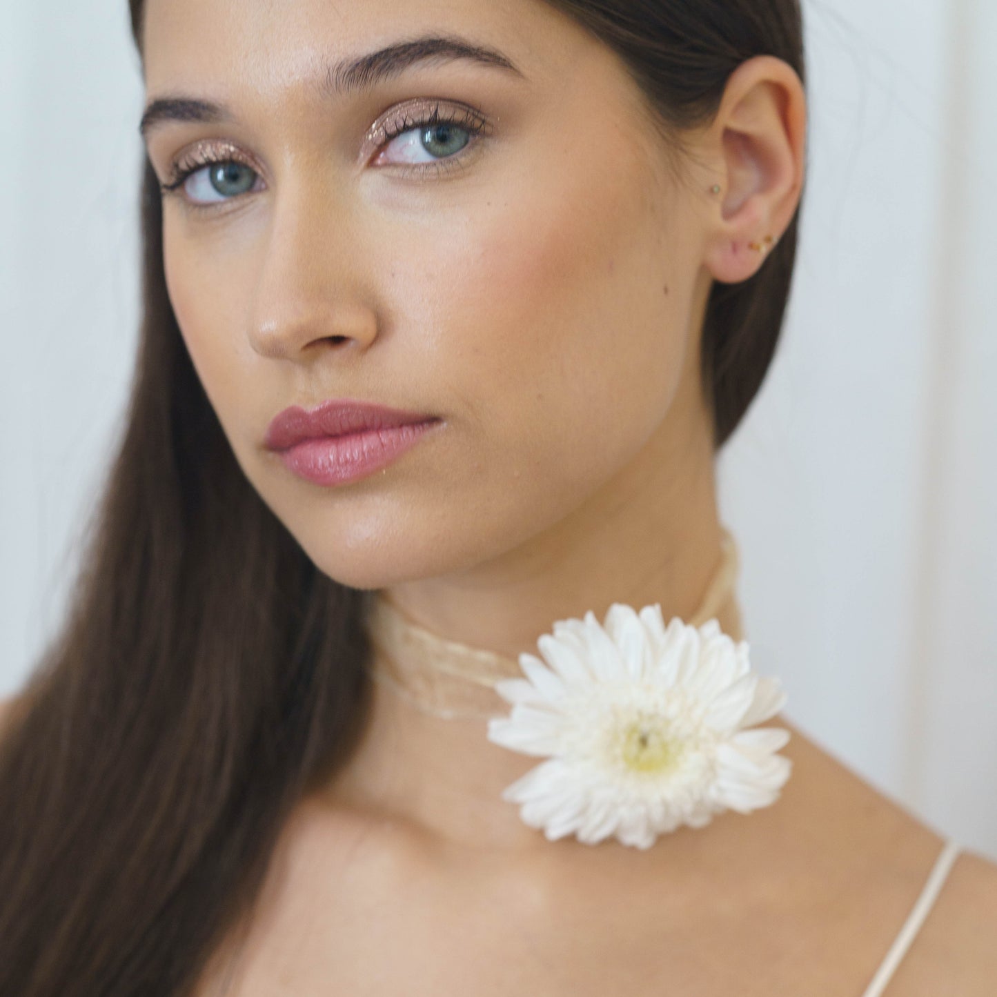 Chocker Gerbera