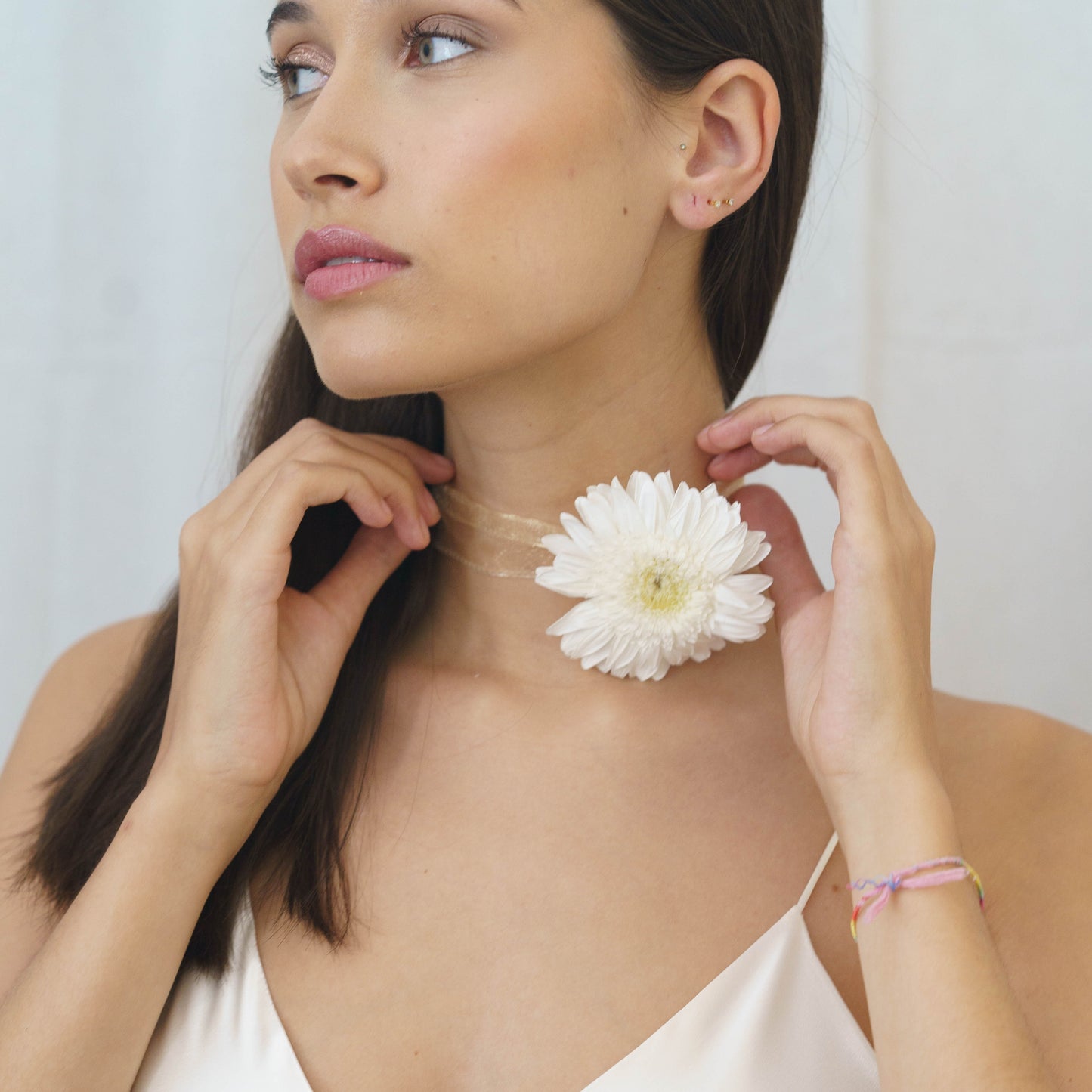 Chocker Gerbera