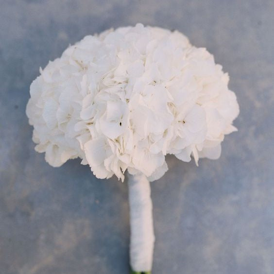 Bella preserved hydrangea bouquet