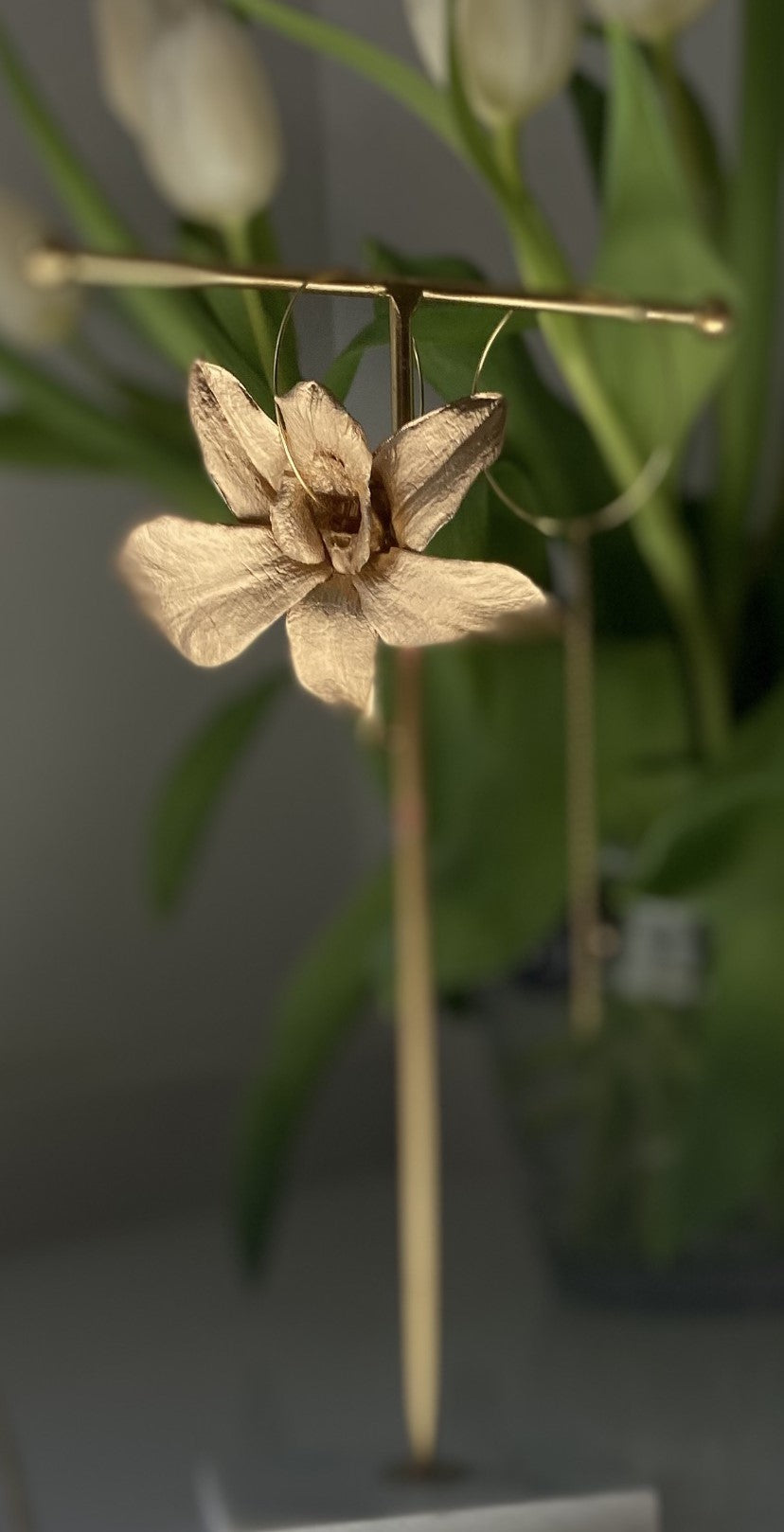 Golden Orchid