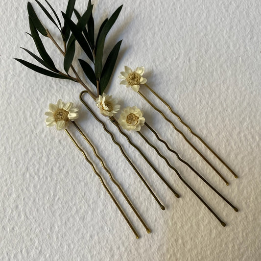 Épingles à cheveux Tiana